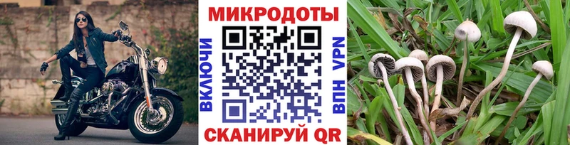 даркнет наркотические препараты  Белёв  Псилоцибиновые грибы мицелий 